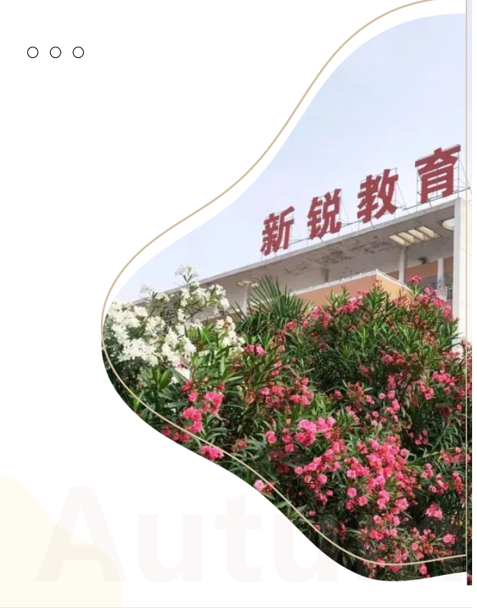 微信图片_20241014153753.png